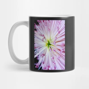 Firework Chrysanthemum Mug